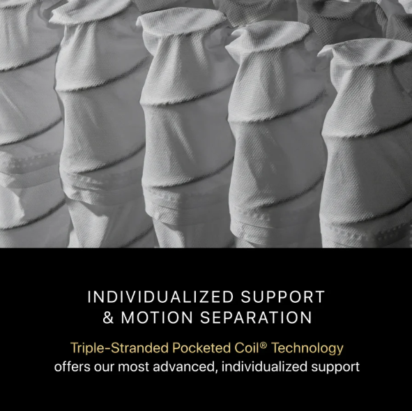 BEAUTYREST Black  SERIES TWO MEDIUM KING Size