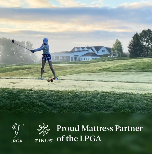 Shalini Upholstered Platform Bed Frame Light Gray Queen size